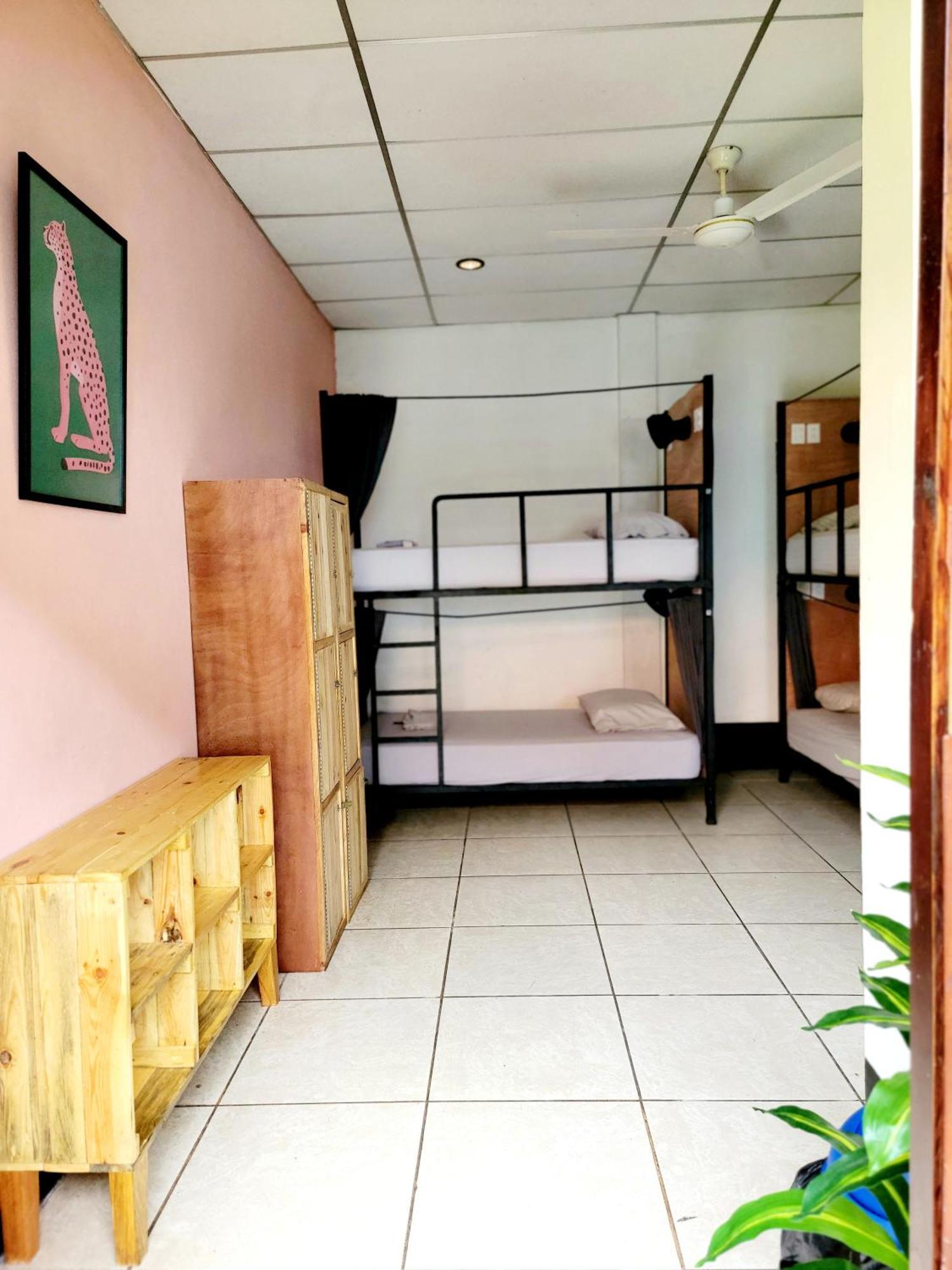Poco A Poco Hostel Leon Ngoại thất bức ảnh