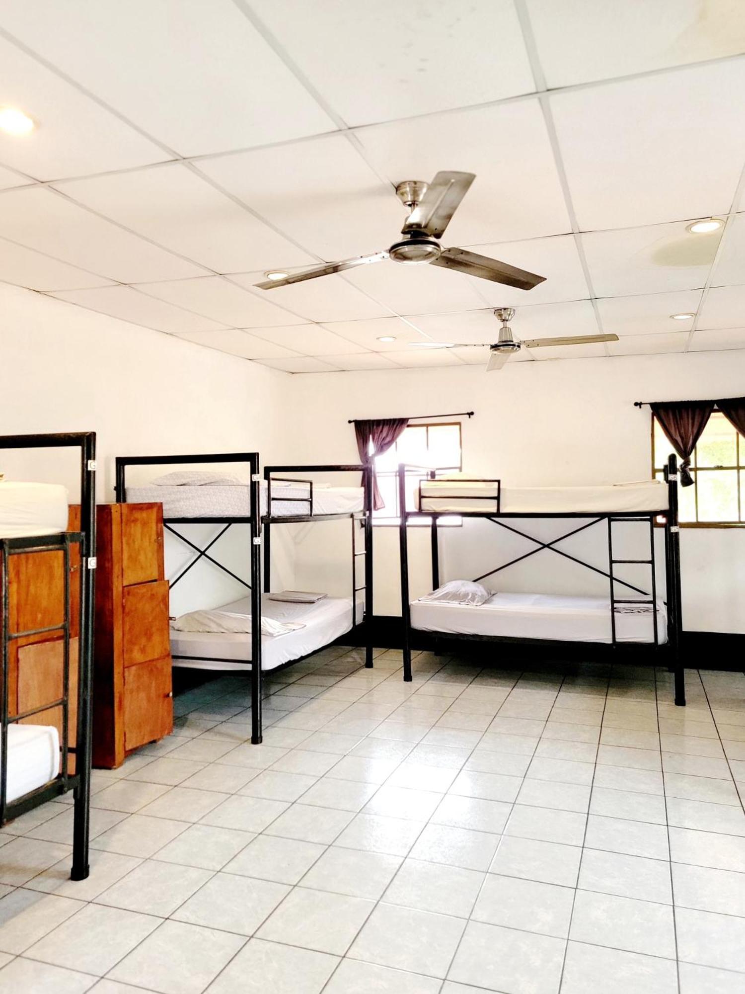 Poco A Poco Hostel Leon Ngoại thất bức ảnh