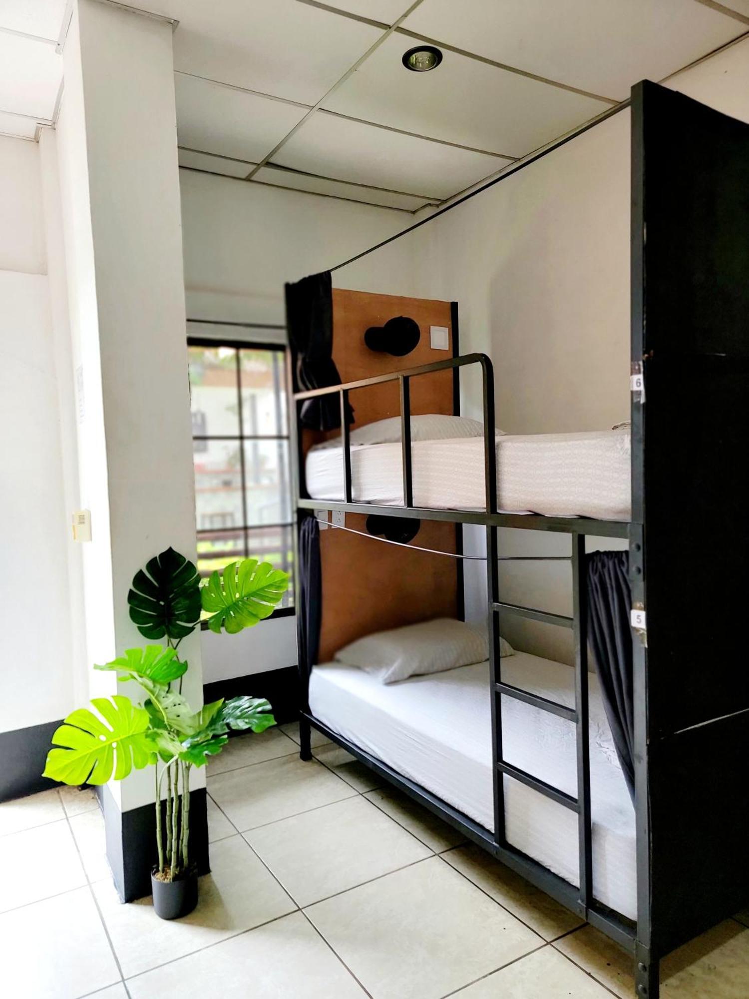 Poco A Poco Hostel Leon Ngoại thất bức ảnh