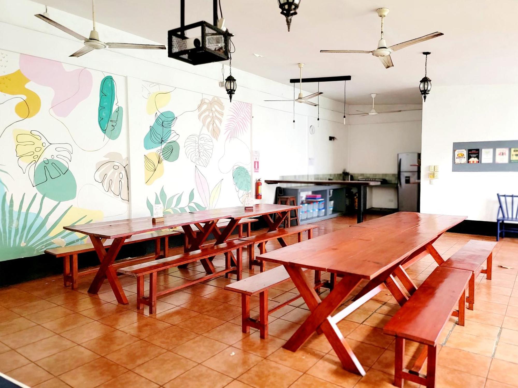 Poco A Poco Hostel Leon Ngoại thất bức ảnh